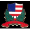 UNITED STATES FLAG LAUREL PIN